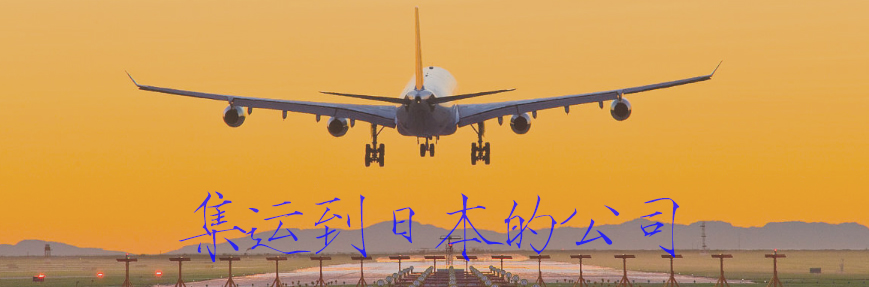 集运到日本的公司